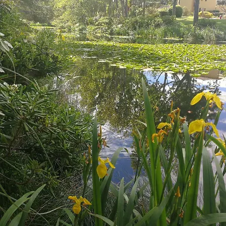 Domaine De La Coudouliere, T2 Climatise Terrasse Vue Sans Vis A Vis A 100m 公寓 *