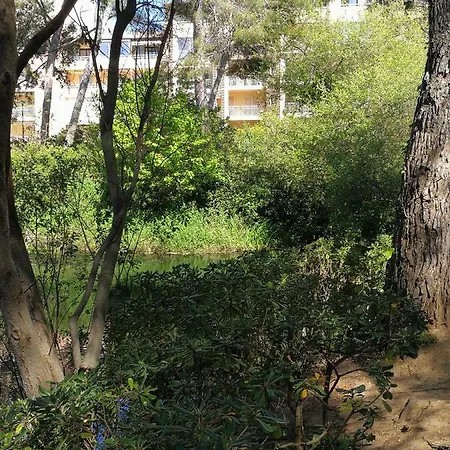 Domaine De La Coudouliere, T2 Climatise Terrasse Vue Sans Vis A Vis A 100m *